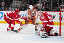 Ducks Red Wings Hockey