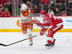 Ducks Red Wings Hockey