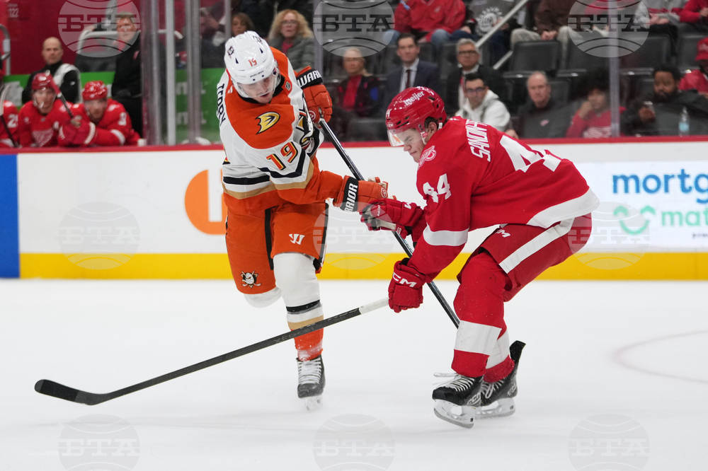 Ducks Red Wings Hockey