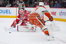 Ducks Red Wings Hockey