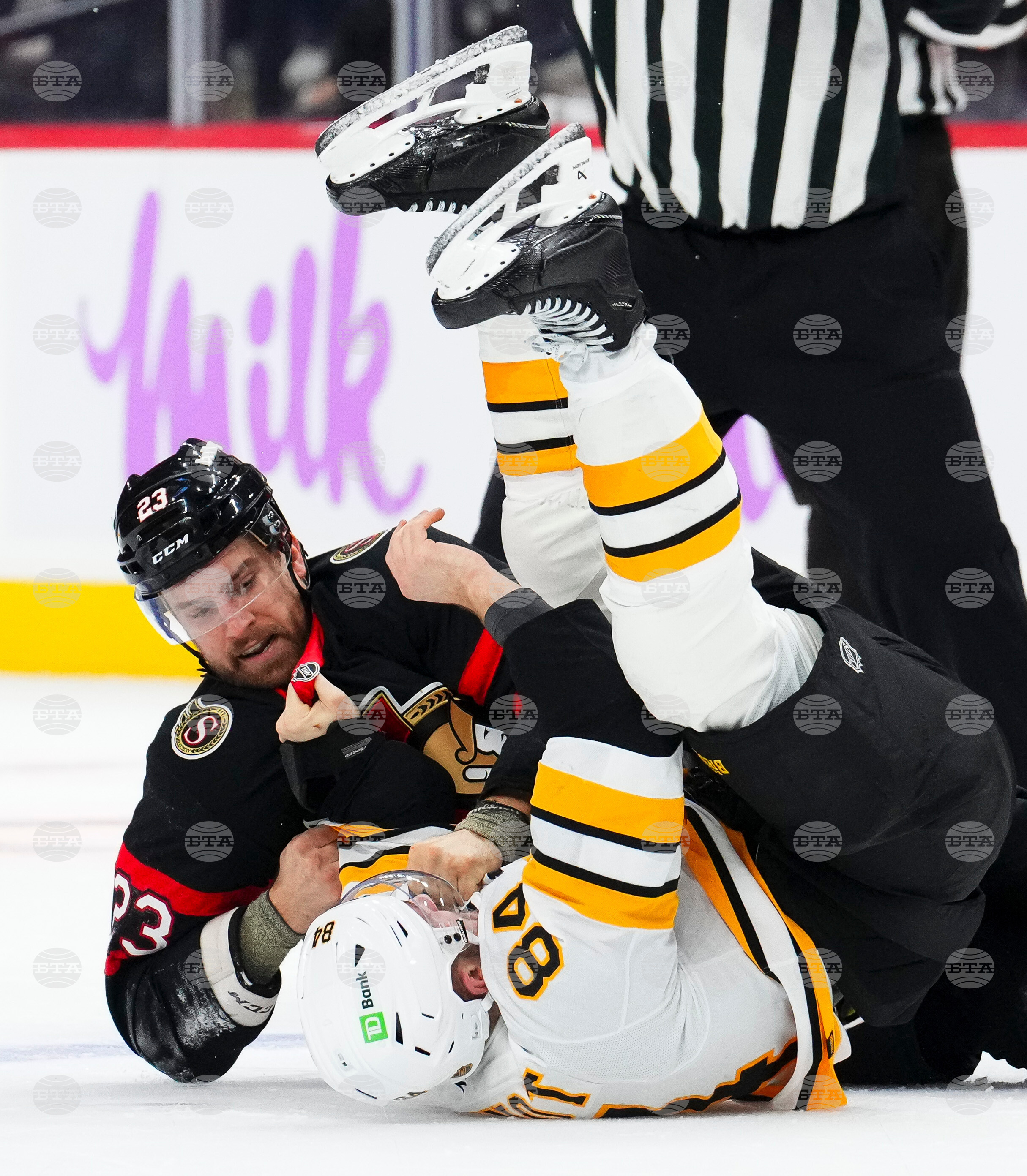 Bruins Senators Hockey