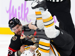 Bruins Senators Hockey