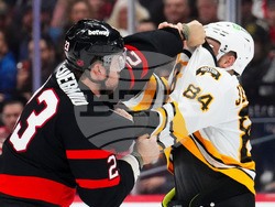 Bruins Senators Hockey