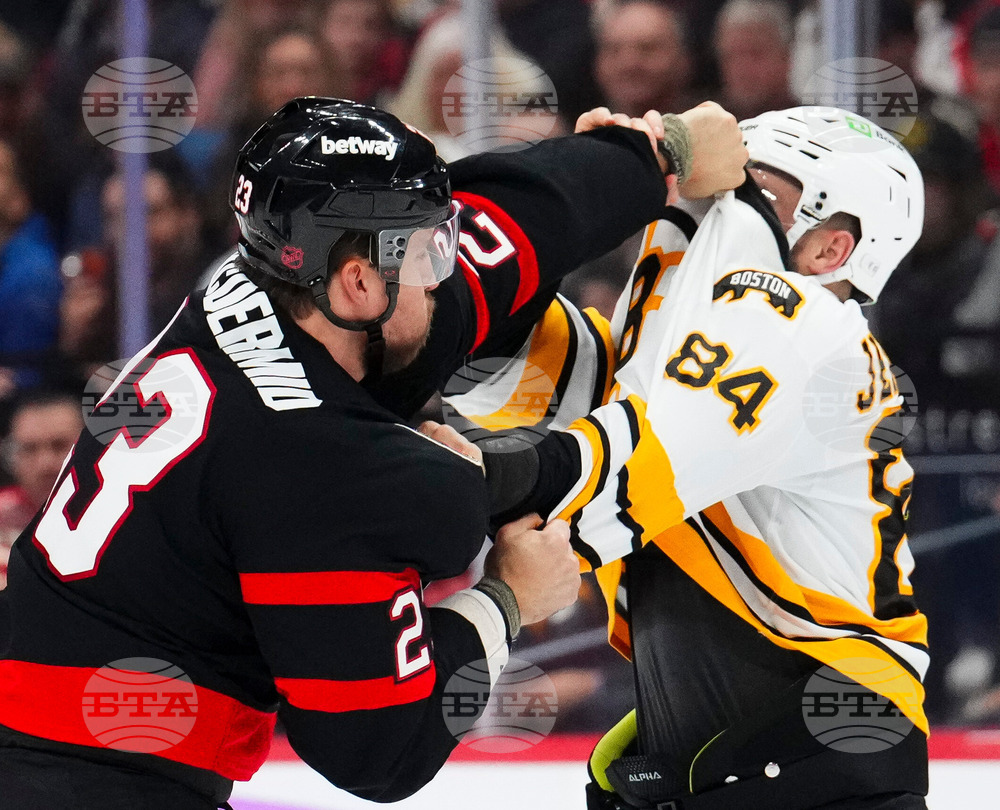 Bruins Senators Hockey