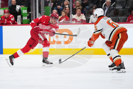 Ducks Red Wings Hockey