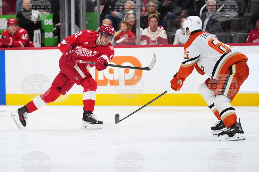 Ducks Red Wings Hockey