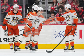 Ducks Red Wings Hockey