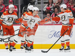 Ducks Red Wings Hockey