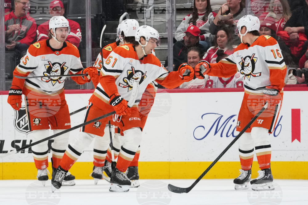 Ducks Red Wings Hockey