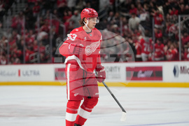 Ducks Red Wings Hockey