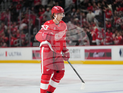 Ducks Red Wings Hockey