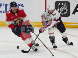 Capitals Panthers Hockey