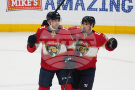 Capitals Panthers Hockey