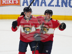 Capitals Panthers Hockey