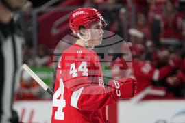 Ducks Red Wings Hockey