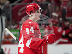 Ducks Red Wings Hockey