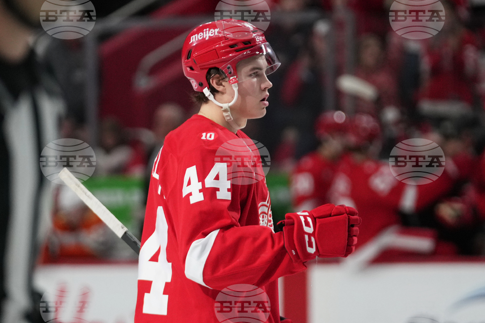 Ducks Red Wings Hockey