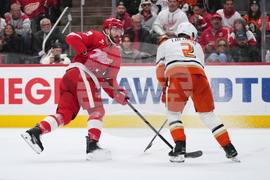 Ducks Red Wings Hockey