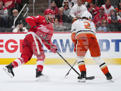 Ducks Red Wings Hockey