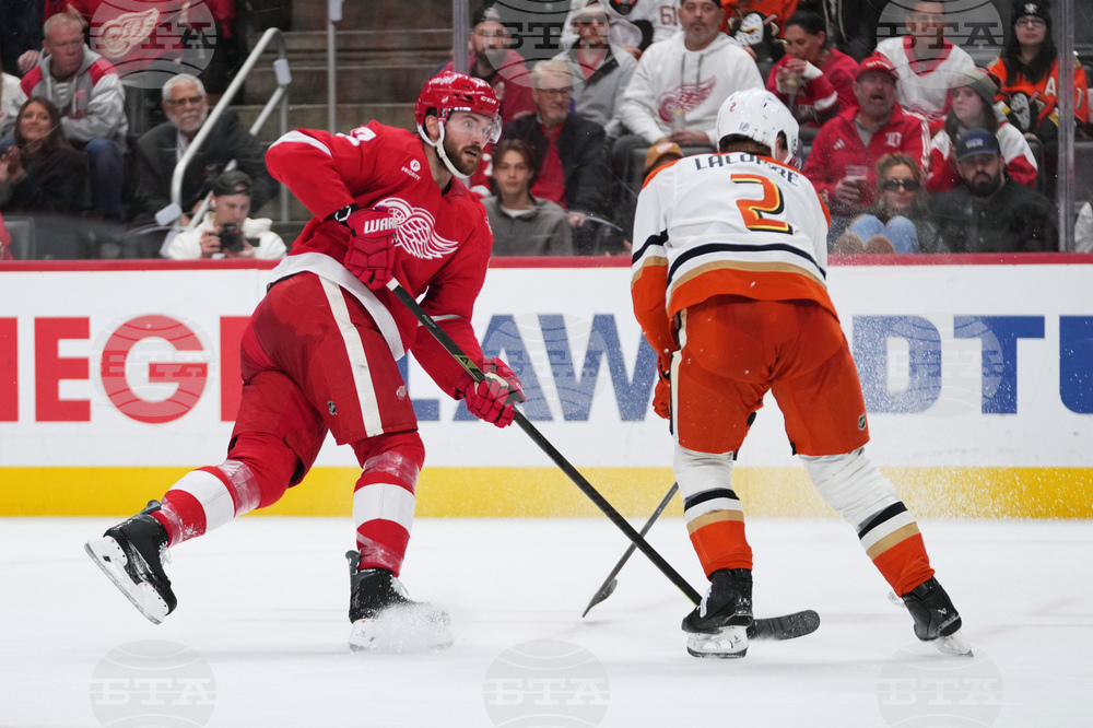 Ducks Red Wings Hockey