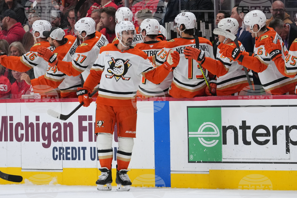 Ducks Red Wings Hockey