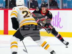Bruins Senators Hockey
