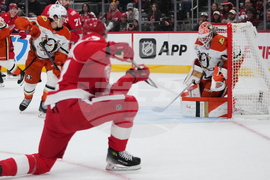 Ducks Red Wings Hockey