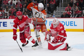 Ducks Red Wings Hockey