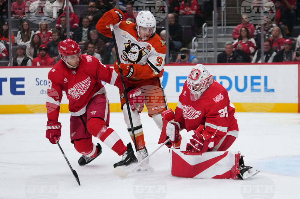 Ducks Red Wings Hockey