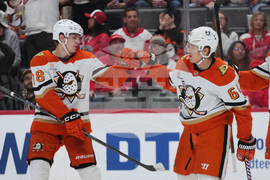 Ducks Red Wings Hockey