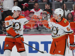 Ducks Red Wings Hockey