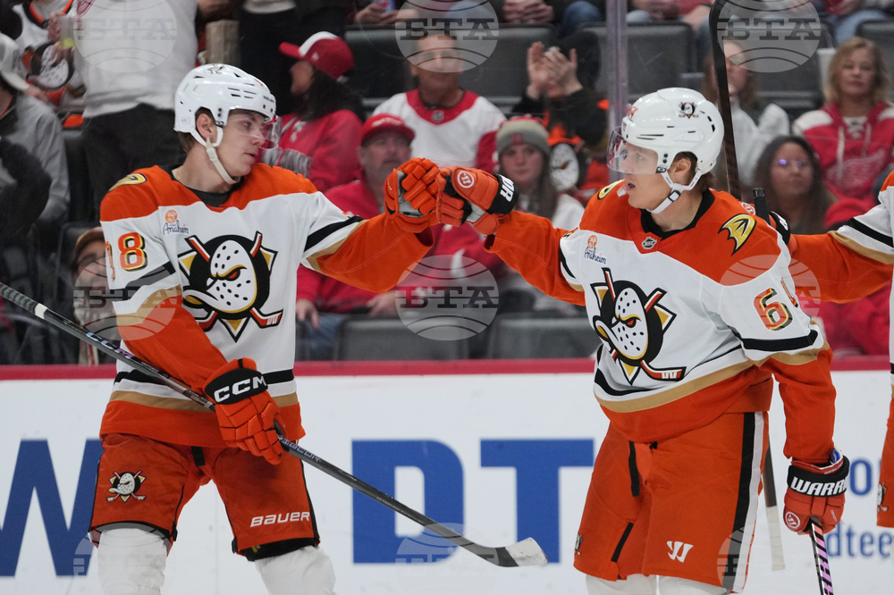 Ducks Red Wings Hockey