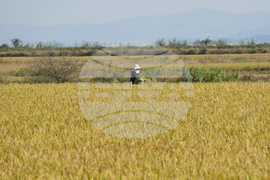 South Korea Farmers Climate Lawsuit