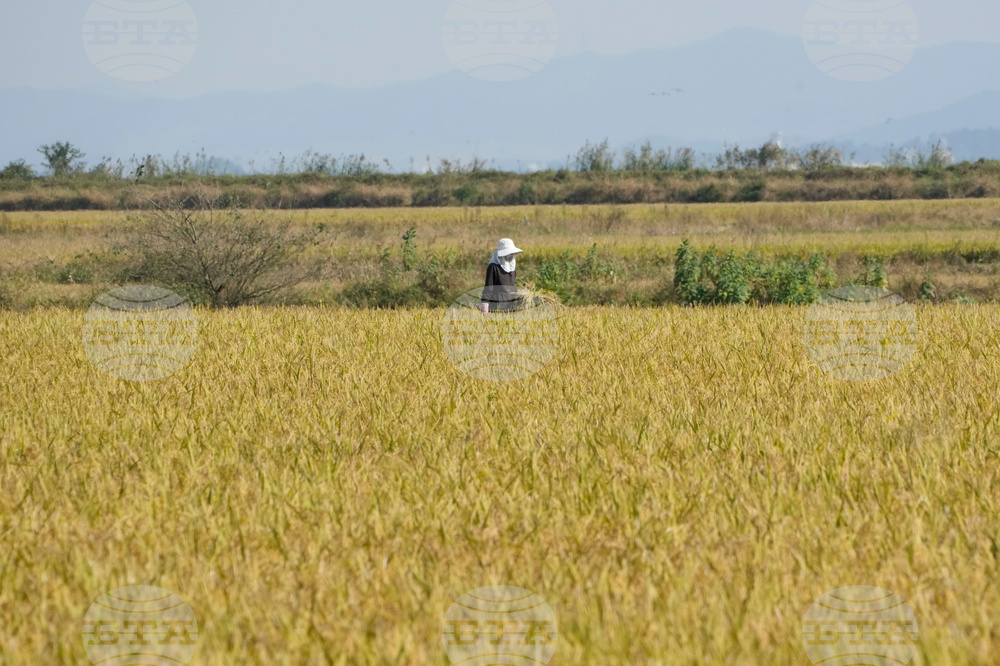 South Korea Farmers Climate Lawsuit
