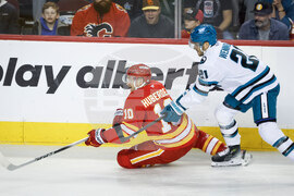 Sharks Flames Hockey