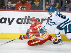 Sharks Flames Hockey