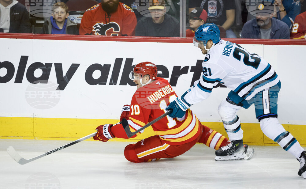 Sharks Flames Hockey