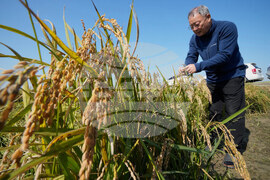 South Korea Farmers Climate Lawsuit