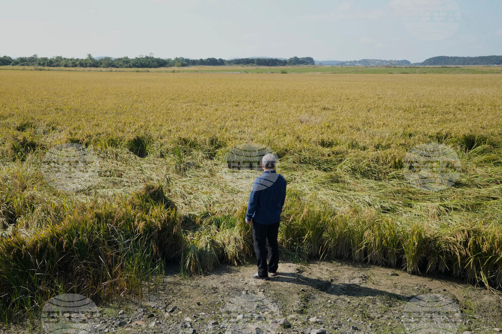 South Korea Farmers Climate Lawsuit