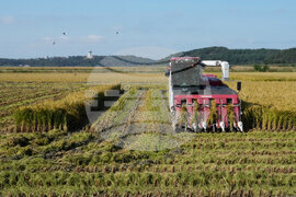 South Korea Farmers Climate Lawsuit