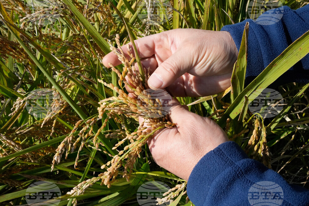 South Korea Farmers Climate Lawsuit