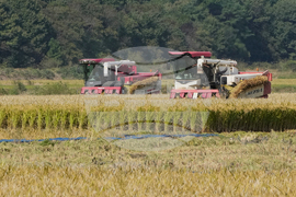 South Korea Farmers Climate Lawsuit