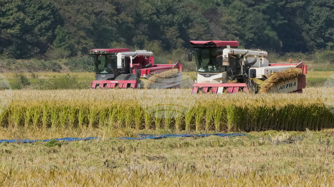 Гръцките производители на ориз се притесняват от споразумението на ЕС с Меркосур, пише Ройтерс