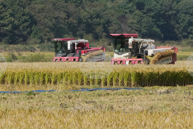 Гръцките производители на ориз се притесняват от споразумението на ЕС с Меркосур, пише Ройтерс