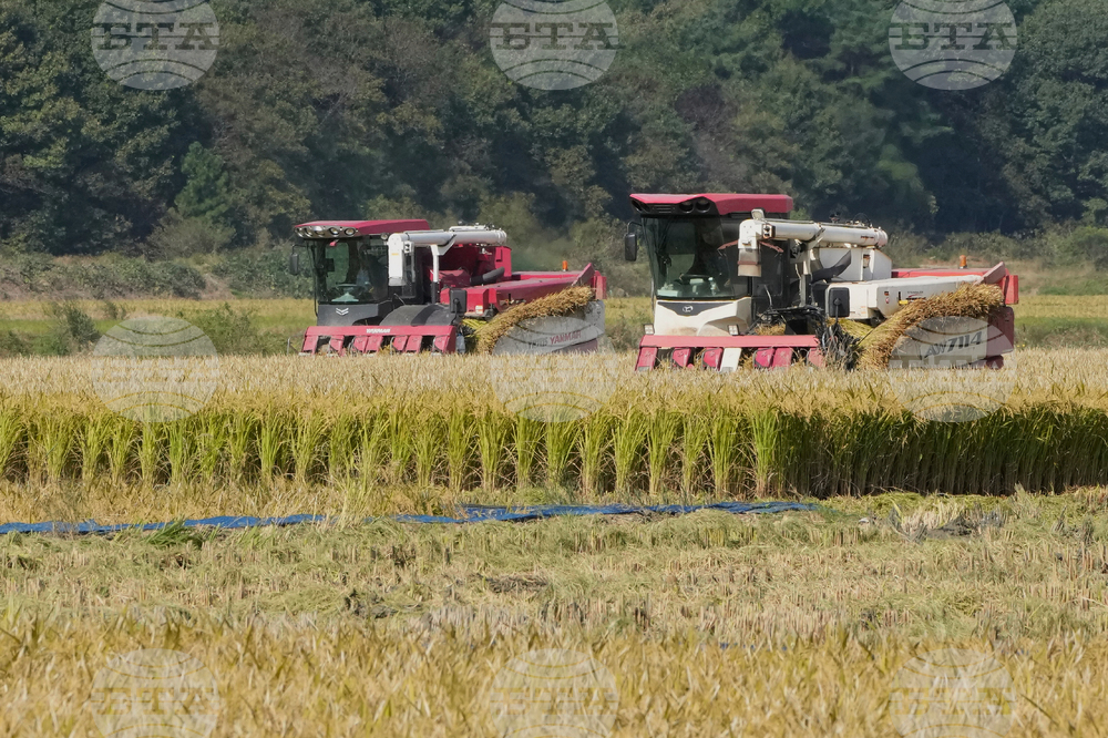 South Korea Farmers Climate Lawsuit