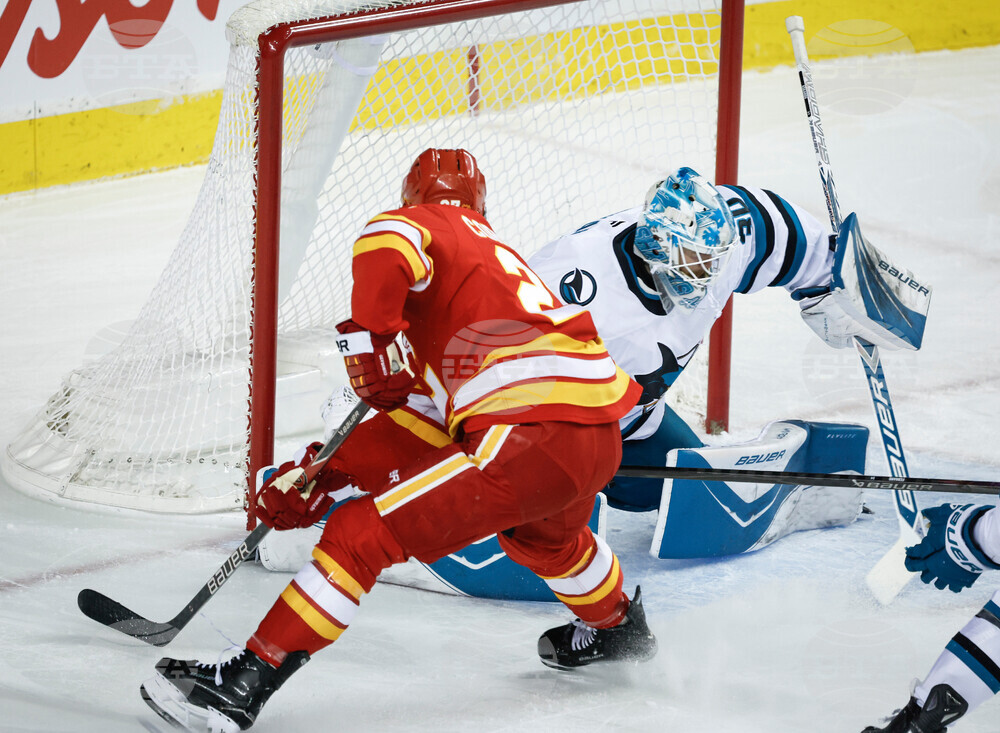 Sharks Flames Hockey