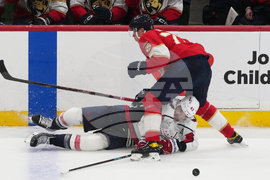 Capitals Panthers Hockey