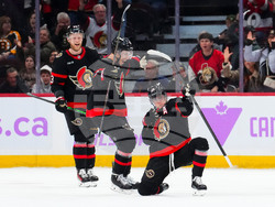 Bruins Senators Hockey