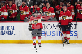 Capitals Panthers Hockey