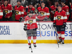 Capitals Panthers Hockey